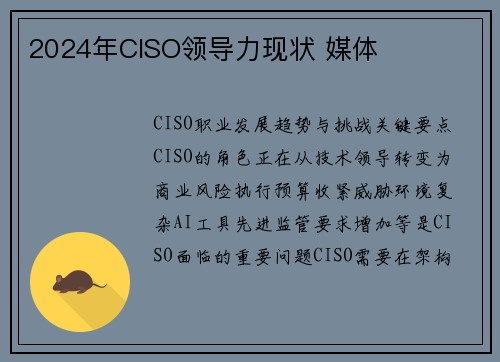 2024年CISO领导力现状 媒体